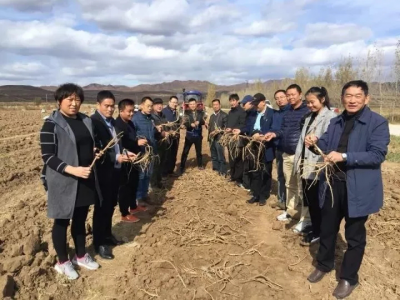 “中國蛋雞健康養(yǎng)殖研討會”在我公司順利召開！