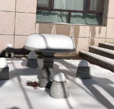 冬日掃雪暖人心——華天制藥組織員工掃雪活動(dòng)